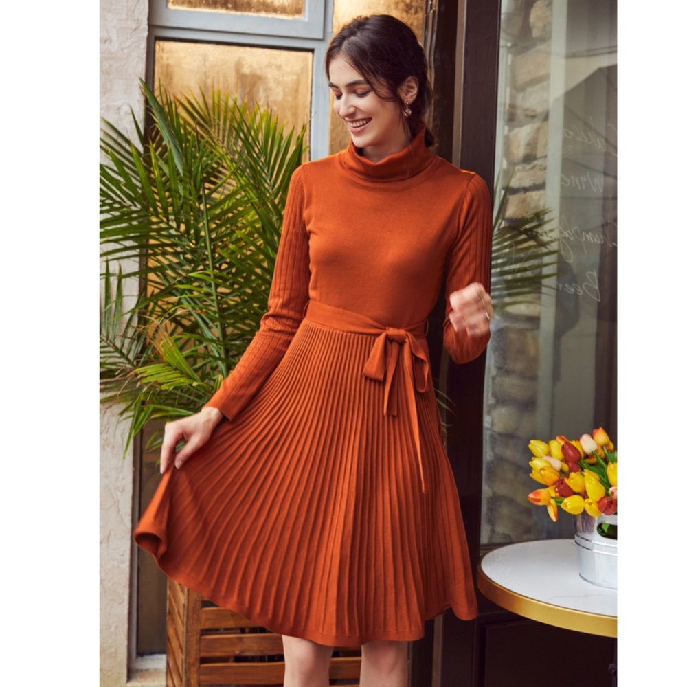 Pumpkin Orange Turtleneck Knit Belted Dress - Picture 7 of 16